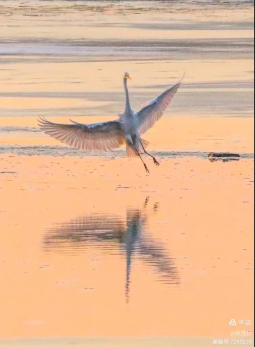 微信圖片_20260313140415_313_91