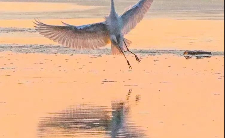 她們，把芳華留在黑土地
