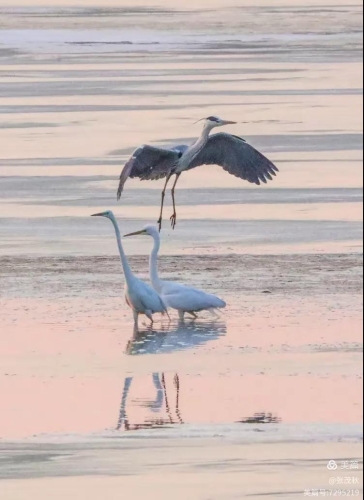 微信圖片_2026-03-25_140002_582