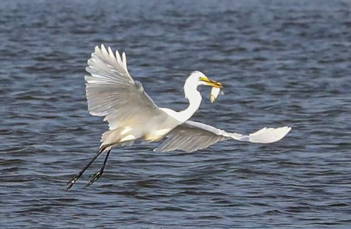 微信圖片_2026-04-13_164212_376